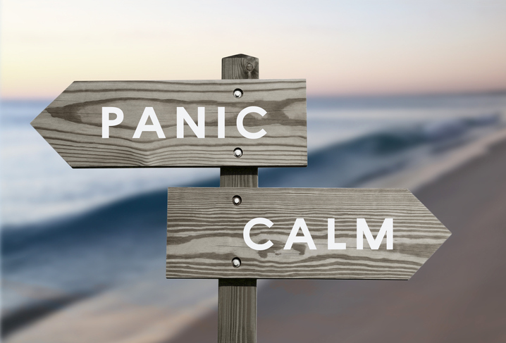 A beach in the background with a directional sign in the foreground. One arrow points to the left and says "panic" while the other pointing to the right says "calm"